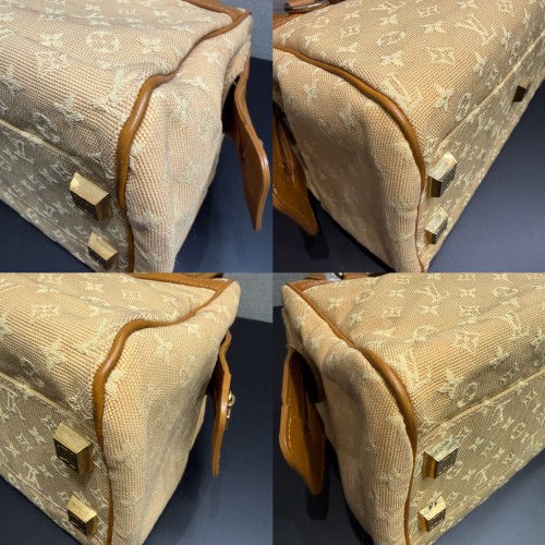 Louis Vuitton Monogram Mini Josephine PM Canvas Bag