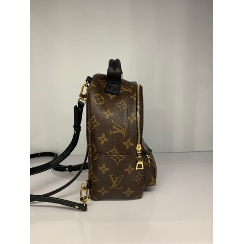 Louis Vuitton Mini Palm Spring Backpack, Gold Tone Hardware