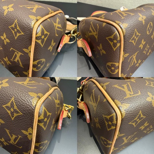Louis Vuitton Speedy Bandoulière 20 Handbag