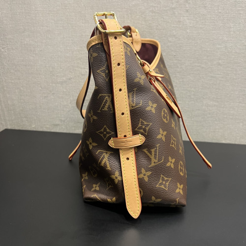 Louis Vuitton Carryall PM Monogram Microchip
