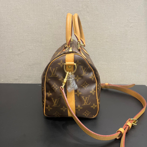 Louis Vuitton Speedy Bandoulière 25 Monogram 