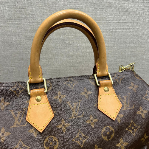 Louis Vuitton Speedy Bandoulière 25 Monogram 