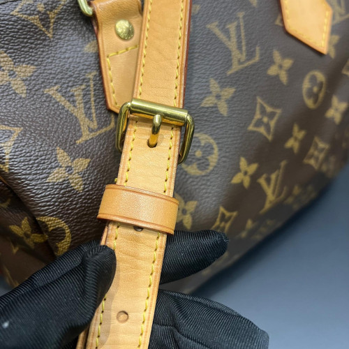 Louis Vuitton Speedy Bandoulière 25 Monogram 