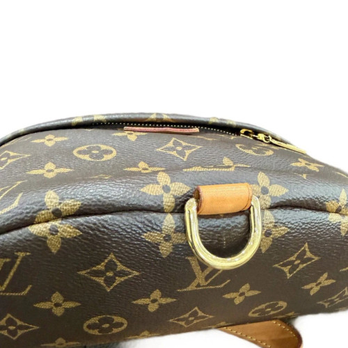 Louis Vuitton Bumbag Monogram Brown