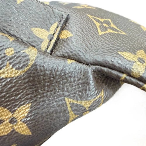 Louis Vuitton Bumbag Monogram Brown