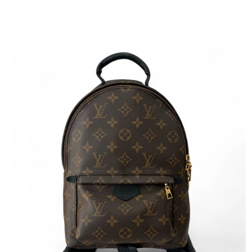 Louis Vuitton Palm Springs Backpack PM Monogram Brown Black