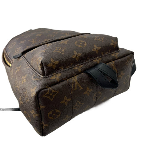 Louis Vuitton Palm Springs Backpack PM Monogram Brown Black