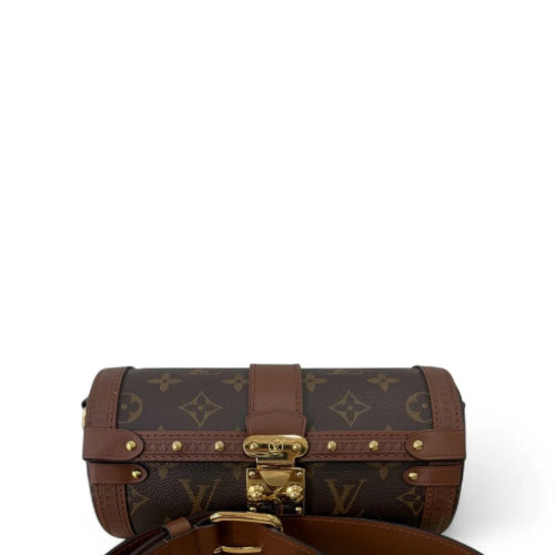 Louis Vuitton Papillon Trunk Monogram Brown
