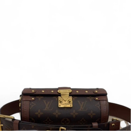 Louis Vuitton Papillon Trunk Monogram Brown