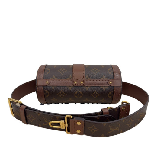 Louis Vuitton Papillon Trunk Monogram Brown