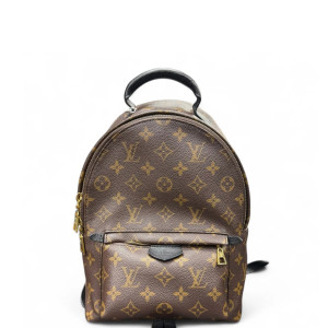 Louis Vuitton Palm Springs Backpack PM Monogram Brown