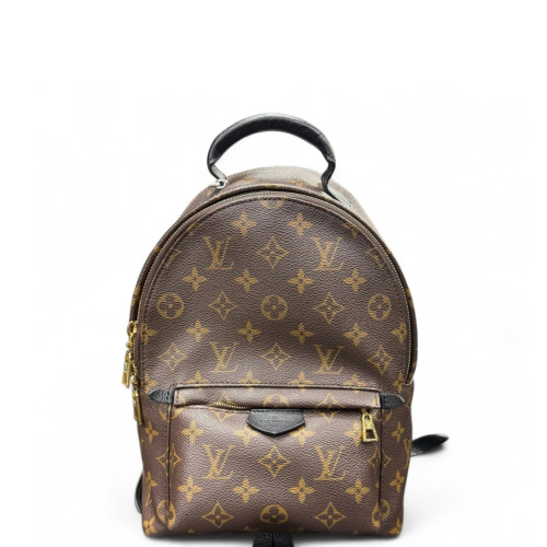 Louis Vuitton Palm Springs Backpack PM Monogram Brown