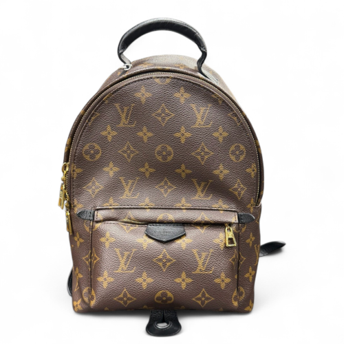 Louis Vuitton Palm Springs Backpack PM Monogram Brown