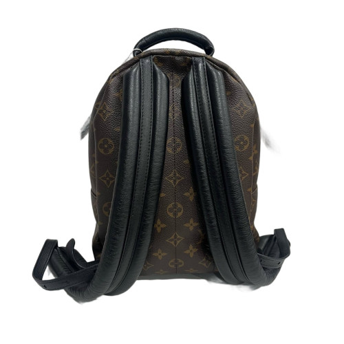 Louis Vuitton Palm Springs Backpack PM Monogram Brown