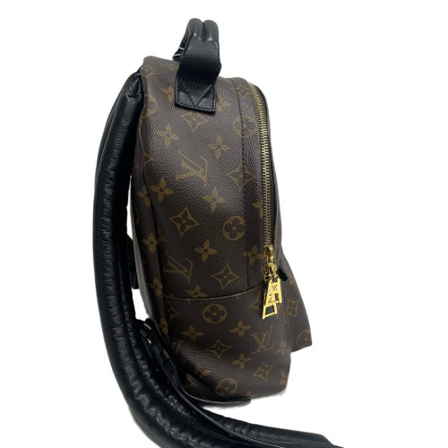 Louis Vuitton Palm Springs Backpack PM Monogram Brown