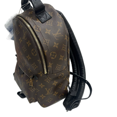 Louis Vuitton Palm Springs Backpack PM Monogram Brown