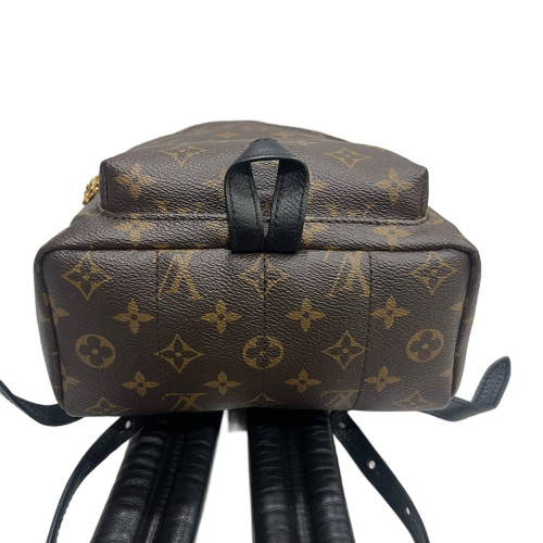 Louis Vuitton Palm Springs Backpack PM Monogram Brown