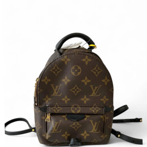 Louis Vuitton Palm Springs Backpack Mini Monogram Brown Black