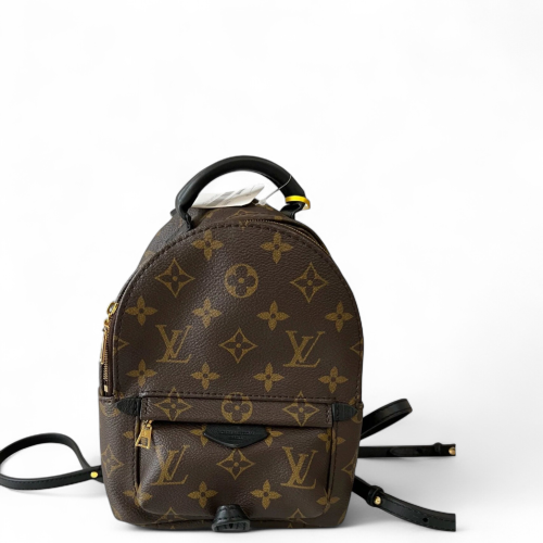 Louis Vuitton Palm Springs Backpack Mini Monogram Brown Black