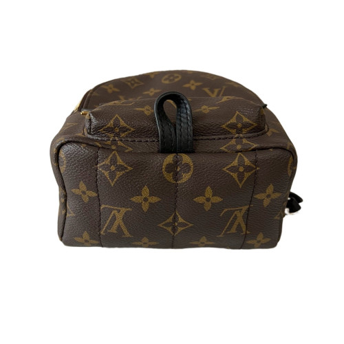Louis Vuitton Palm Springs Backpack Mini Monogram Brown Black