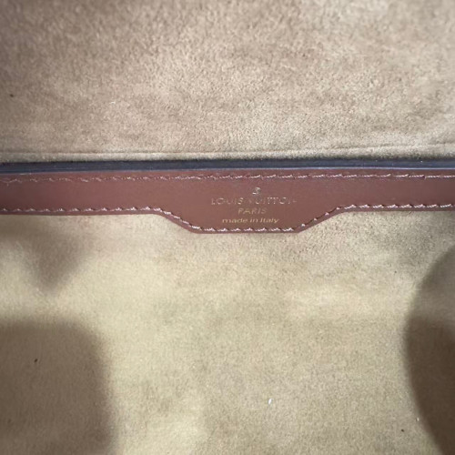 Louis Vuitton Papillon Trunk Monogram Brown