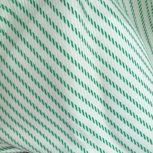 Celine Handbag Striped Canvas Calfskin White Green Black