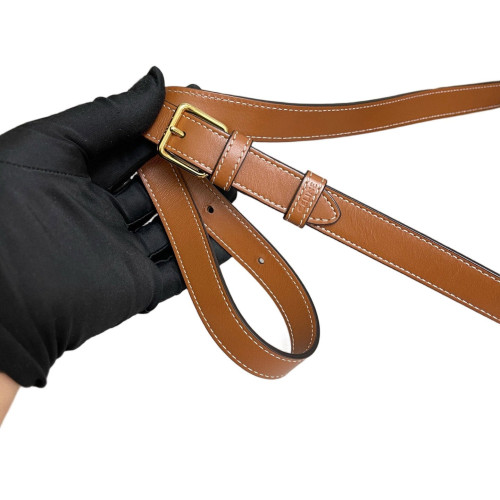 Celine Triomphe Bucket Bag Mediun Triomphe Calfskin Brown