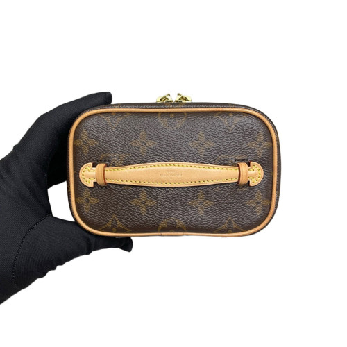 Louis Vuitton Nice Nano Monogram Brown
