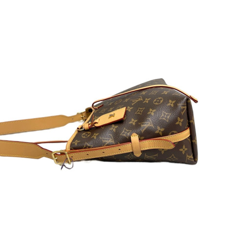 Louis Vuitton Carryall PM Monogram Brown
