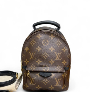 Louis Vuitton Palm Springs Backpack Mini Monogram Brown Black