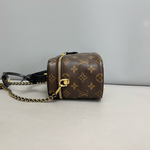 Louis Vuitton Vanity PM Reverse Monogram Brown Black