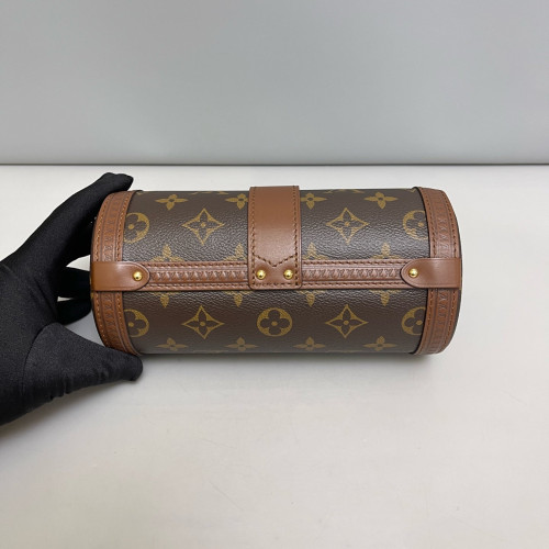 Louis Vuitton Papillon Trunk Monogram Brown