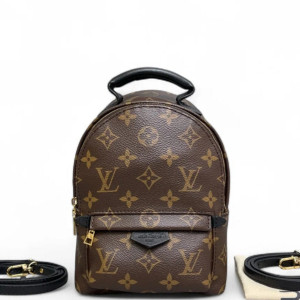 Louis Vuitton Palm Springs Backpack Mini Monogram Brown Black
