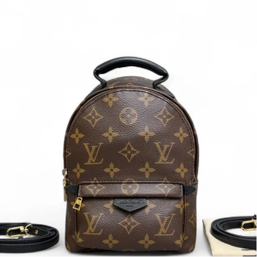 Louis Vuitton Palm Springs Backpack Mini Monogram Brown Black