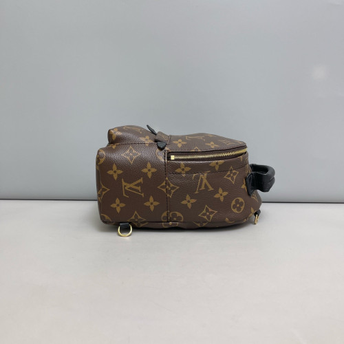 Louis Vuitton Palm Springs Backpack Mini Monogram Brown Black