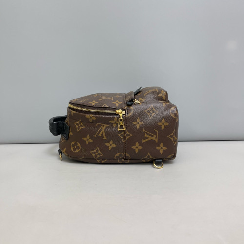 Louis Vuitton Palm Springs Backpack Mini Monogram Brown Black