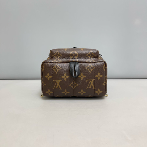 Louis Vuitton Palm Springs Backpack Mini Monogram Brown Black