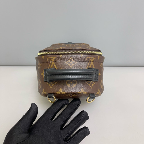 Louis Vuitton Palm Springs Backpack Mini Monogram Brown Black