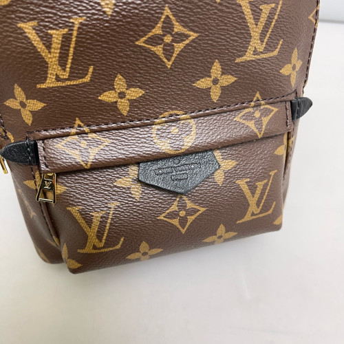 Louis Vuitton Palm Springs Backpack Mini Monogram Brown Black
