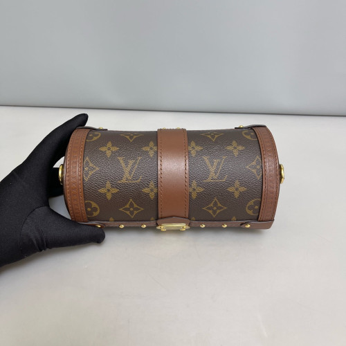 Louis Vuitton Papillon Trunk Monogram Brown