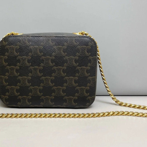 Celine Cuir Triomphe Box On Chain Triomphe Brown Black