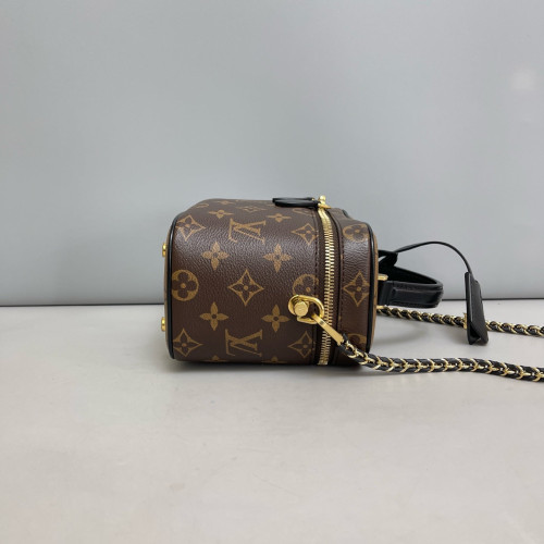 Louis Vuitton Vanity PM Reverse Monogram Brown