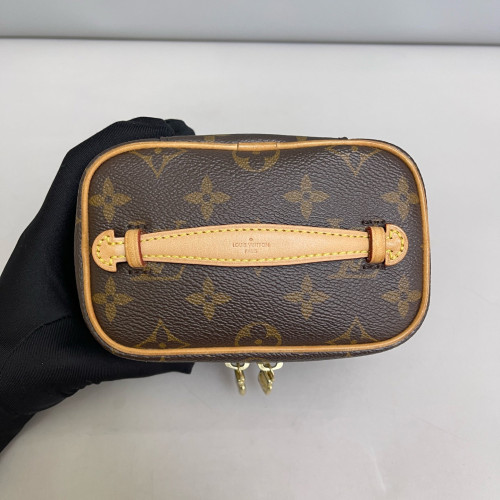 Louis Vuitton Nice Nano Monogram Brown
