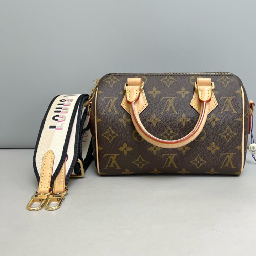 Louis Vuitton Speedy 20 Monogram Brown