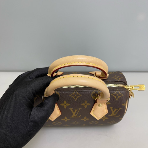 Louis Vuitton Speedy 20 Monogram Brown