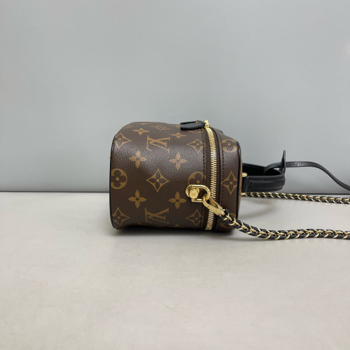 Louis Vuitton Vanity PM Monogram Brown