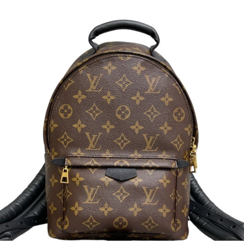 Louis Vuitton Palm Springs Backpack PM Monogram Brown Louis Vuitton Palm Springs Backpack PM Monogram Brown