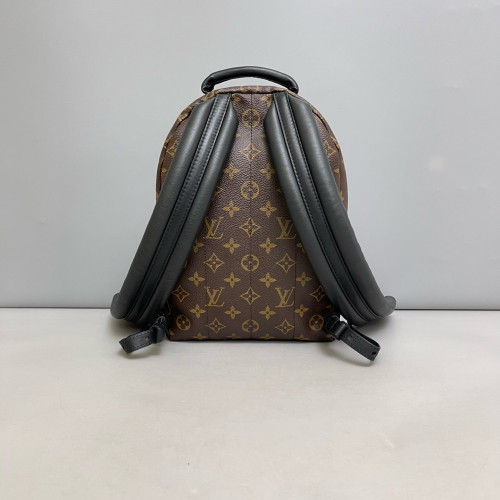 Louis Vuitton Palm Springs Backpack PM Monogram Brown Louis Vuitton Palm Springs Backpack PM Monogram Brown