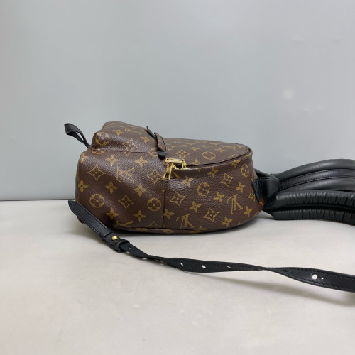 Louis Vuitton Palm Springs Backpack PM Monogram Brown Louis Vuitton Palm Springs Backpack PM Monogram Brown