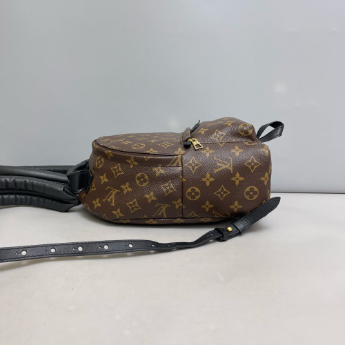 Louis Vuitton Palm Springs Backpack PM Monogram Brown Louis Vuitton Palm Springs Backpack PM Monogram Brown
